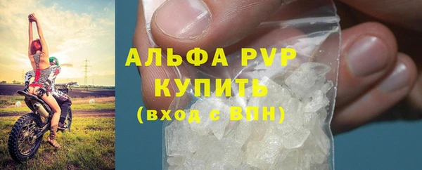 спиды Вяземский