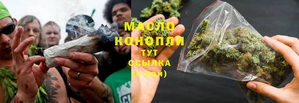 спиды Вяземский