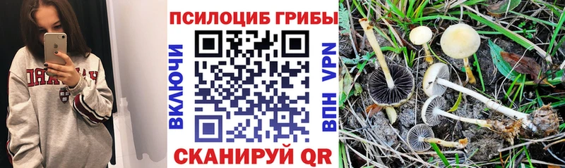 hydra сайт  Болхов  Псилоцибиновые грибы мухоморы 