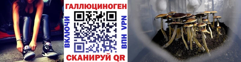 Галлюциногенные грибы Psilocybine cubensis Болхов