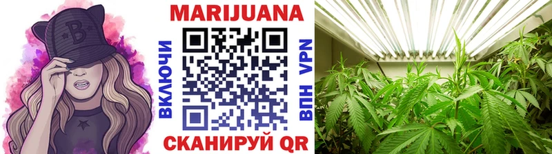 Бошки Шишки гибрид Болхов